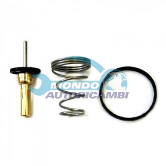 TERMOSTATO, TERMOINTERRUTTORE