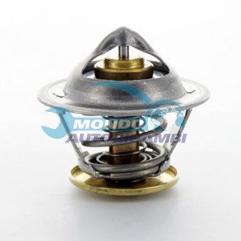 TERMOSTATO, TERMOINTERRUTTORE