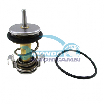 TERMOSTATO, TERMOINTERRUTTORE