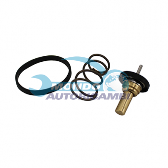 TERMOSTATO, TERMOINTERRUTTORE