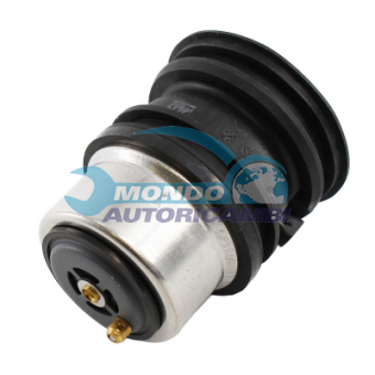 TERMOSTATO, TERMOINTERRUTTORE