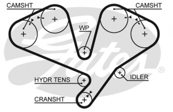 CINGHIA DISTRIBUZIONE
