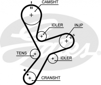 CINGHIA DISTRIBUZIONE