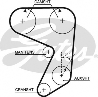 CINGHIA SERVIZI AUSILIARI
