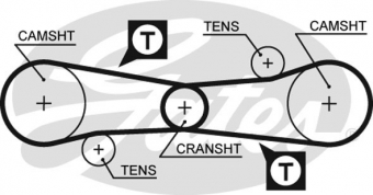 CINGHIA SERVIZI AUSILIARI