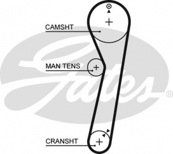 CINGHIA SERVIZI AUSILIARI