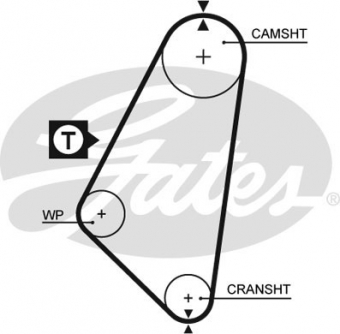 CINGHIA SERVIZI AUSILIARI