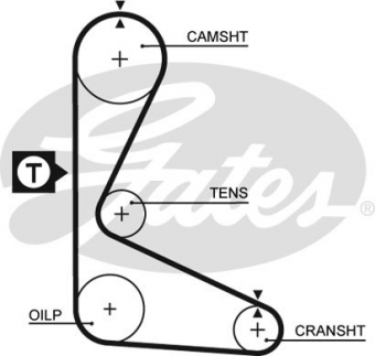 CINGHIA SERVIZI AUSILIARI