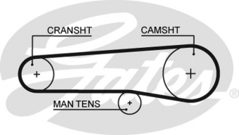 CINGHIA SERVIZI AUSILIARI