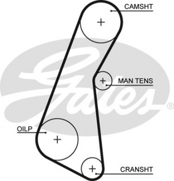 CINGHIA SERVIZI AUSILIARI