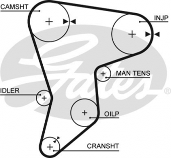 CINGHIA SERVIZI AUSILIARI
