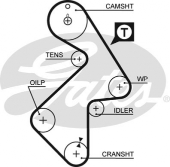CINGHIA SERVIZI AUSILIARI