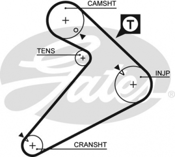 CINGHIA SERVIZI AUSILIARI