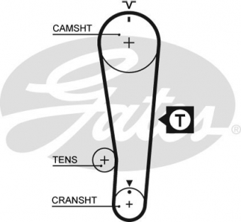 CINGHIA SERVIZI AUSILIARI