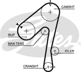 CINGHIA SERVIZI AUSILIARI