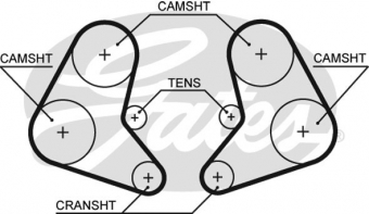 CINGHIA SERVIZI AUSILIARI