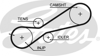 CINGHIA SERVIZI AUSILIARI