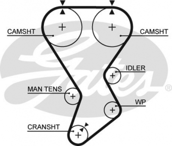 CINGHIA SERVIZI AUSILIARI