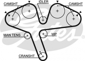 CINGHIA SERVIZI AUSILIARI
