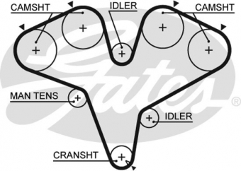 CINGHIA SERVIZI AUSILIARI