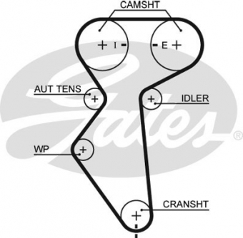 CINGHIA SERVIZI AUSILIARI