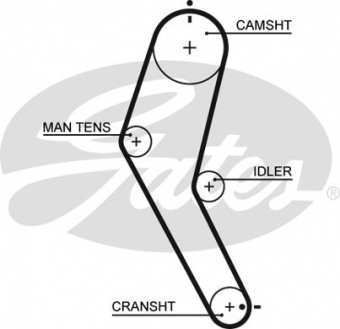 CINGHIA SERVIZI AUSILIARI