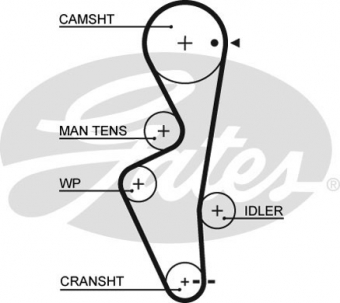 CINGHIA SERVIZI AUSILIARI
