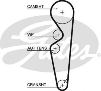 CINGHIA SERVIZI AUSILIARI