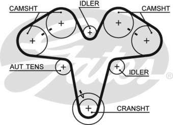 CINGHIA SERVIZI AUSILIARI