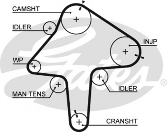 CINGHIA SERVIZI AUSILIARI