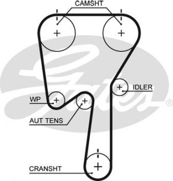 CINGHIA SERVIZI AUSILIARI