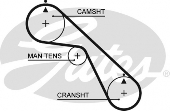 CINGHIA SERVIZI AUSILIARI