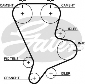 CINGHIA SERVIZI AUSILIARI
