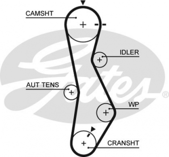 CINGHIA SERVIZI AUSILIARI