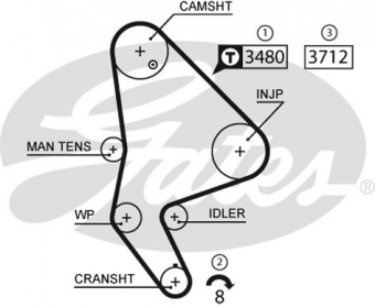 CINGHIA SERVIZI AUSILIARI
