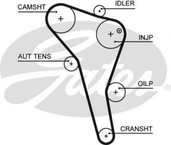 CINGHIA SERVIZI AUSILIARI