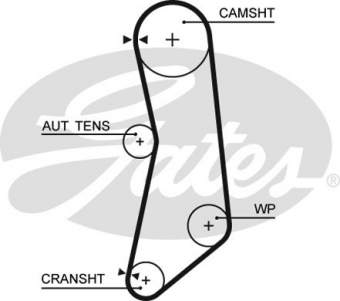 CINGHIA SERVIZI AUSILIARI