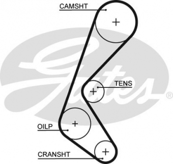 CINGHIA SERVIZI AUSILIARI