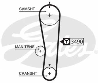 CINGHIA SERVIZI AUSILIARI