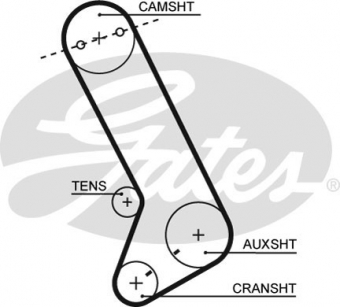 CINGHIA SERVIZI AUSILIARI