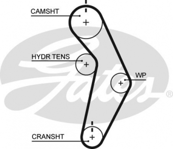 CINGHIA SERVIZI AUSILIARI