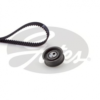 CINGHIA SERVIZI AUSILIARI