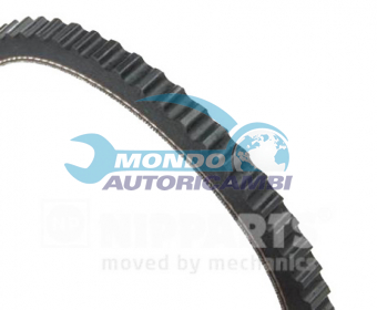 CINGHIA SERVIZI AUSILIARI