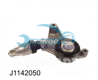 TENDICINGHIA CINGHIA SERVIZI