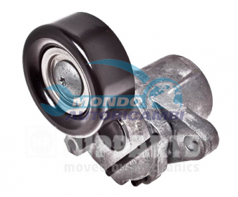 TENDICINGHIA CINGHIA SERVIZI