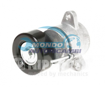 TENDICINGHIA CINGHIA SERVIZI