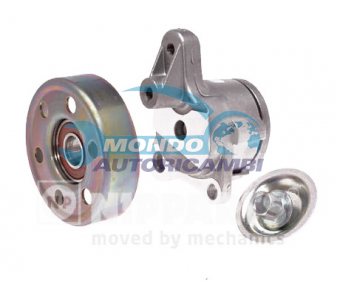 TENDICINGHIA CINGHIA SERVIZI