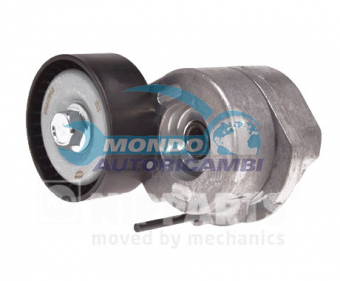 TENDICINGHIA CINGHIA SERVIZI