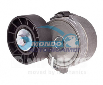 TENDICINGHIA CINGHIA SERVIZI