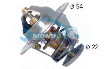 TERMOSTATO, TERMOINTERRUTTORE